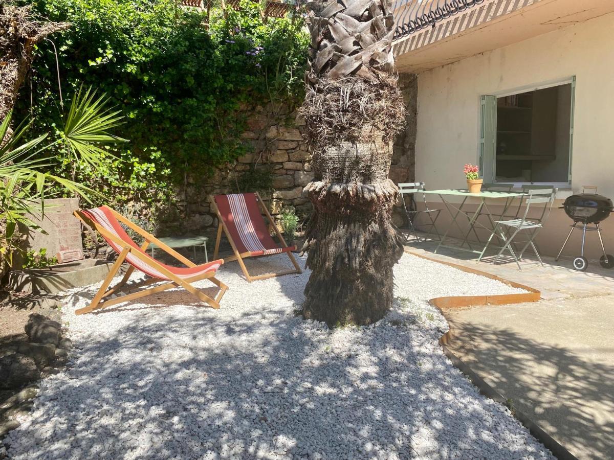 Gite Le Palmier - Perfectly Located Cosy Studio With Private Garden Puissalicon Zewnętrze zdjęcie