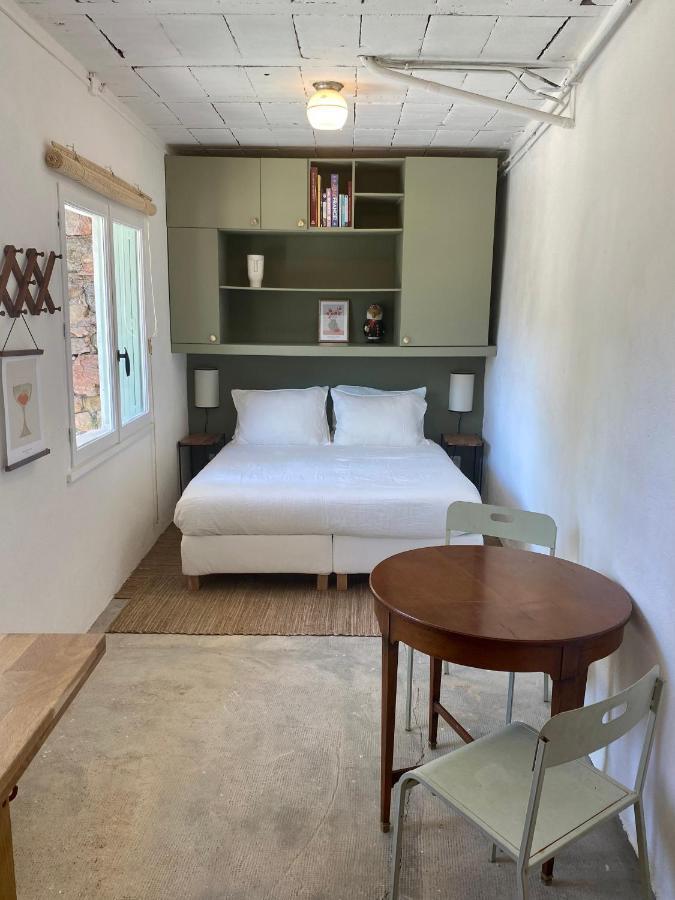 Gite Le Palmier - Perfectly Located Cosy Studio With Private Garden Puissalicon Zewnętrze zdjęcie