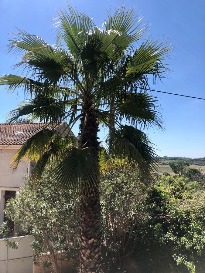 Gite Le Palmier - Perfectly Located Cosy Studio With Private Garden Puissalicon Zewnętrze zdjęcie