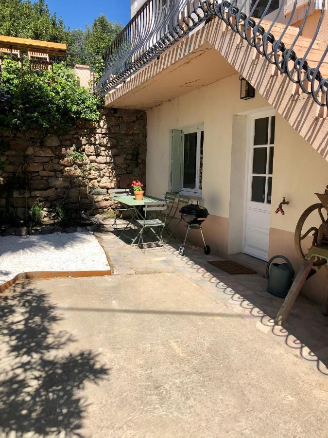 Gite Le Palmier - Perfectly Located Cosy Studio With Private Garden Puissalicon Zewnętrze zdjęcie