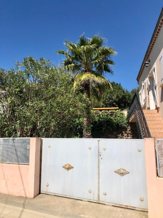 Gite Le Palmier - Perfectly Located Cosy Studio With Private Garden Puissalicon Zewnętrze zdjęcie